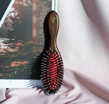 Brosse sanglier