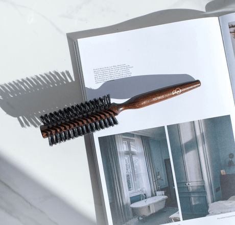 brosse brushing sanglier